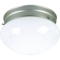 Generic Private Brand 4731-62 / 321256 Nickel Flush Mount image 1
